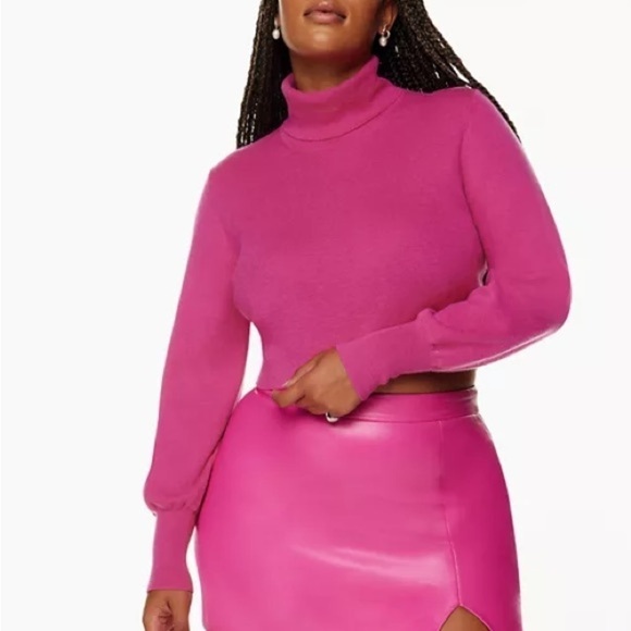 Aritzia Wilfred Rebecca Turtleneck - Picture 2 of 11